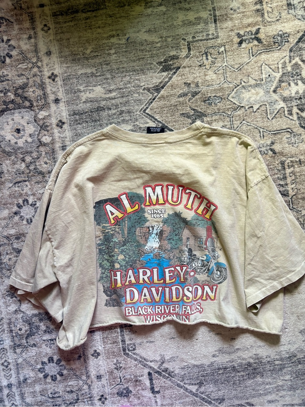 Harley Davidson vintage cropped festival western t shirt al Muth Wisconsin